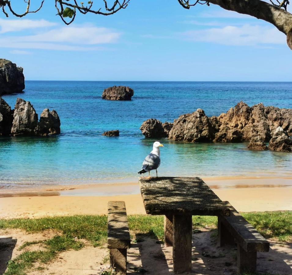 Hotel Rural El Texeu Parres de Llanes Dış mekan fotoğraf